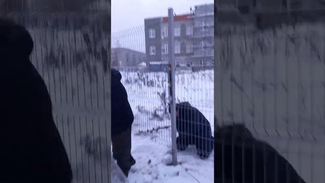 Забутовка столбов в зимнее время на забор щебнем. смотреть онлайн