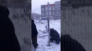 Забутовка столбов в зимнее время на забор щебнем.