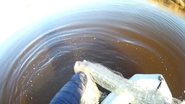 Жесть на рыбалке! Или как я любимицу свою порвал!!! смотреть онлайн