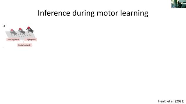 Prof Rafal Bogacz: Modelling Human and Animal Learning with Predicitive Coding смотреть онлайн