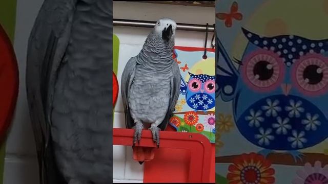 - давай поговорим - кто? - ты. - чото в ротике.пойдем погуляем... смотреть онлайн