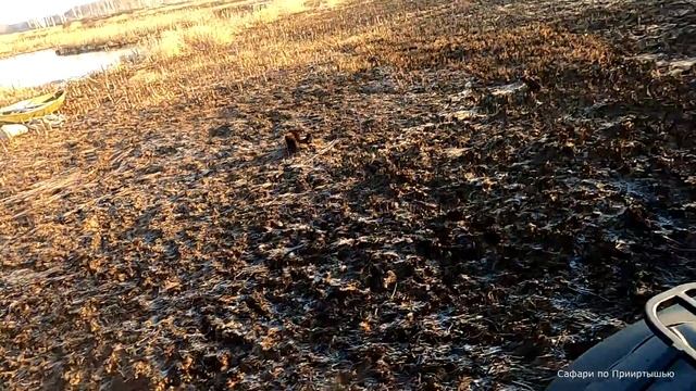 Квадроцикл СОКОЛ-ПРО. Год эксплуатации. Весенняя часть.