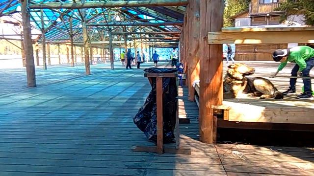 Open air(дискотека на озере) смотреть онлайн