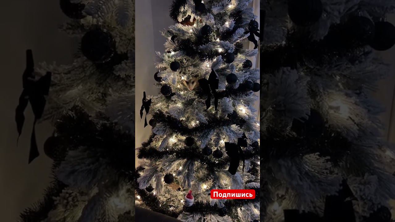 Опоссум в новогодней ёлке смотреть онлайн