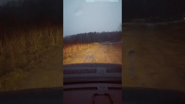 Зоти т600 на лёгком бездорожье 4