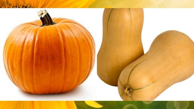 ТЫКВА ПОЛЕЗНЫЕ И ОПАСНЫЕ СВОЙСТВА КОМУ МОЖНО И КОМУ НЕЛЬЗЯ ЕСТЬ ТЫКВУ смотреть онлайн