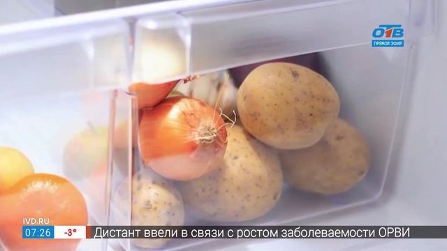 Как правильно хранить картофель в рубрике «Срок годности» смотреть онлайн