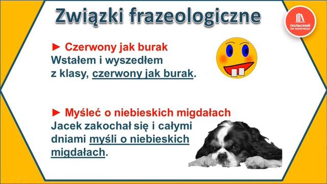 Польский язык. Учим идиомы с цветами | Польский язык фразеология смотреть онлайн