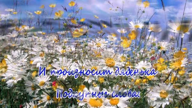 Бегут ромашки по полю смотреть онлайн