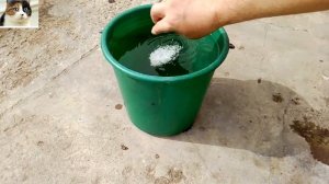 Чем подкормить виноград весной для хорошего урожая