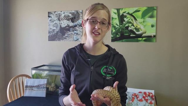 Con-Sub: Housing Snakes in Tanks vs Tubs смотреть онлайн