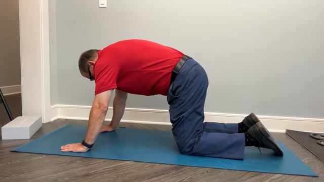 5 Best EASY exercises for L4-L5, L5-S1 Disc Bulge, Dr. Frank Altenrath | Chiropractor In Cresskil смотреть онлайн