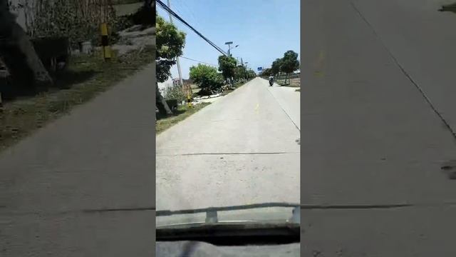 Democratic Republic of Vietnam смотреть онлайн