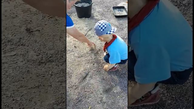 ★ Лука пытается поймать МУРАВЬЯ.Luka tries to catch the ant, but he is not very successful смотреть онлайн