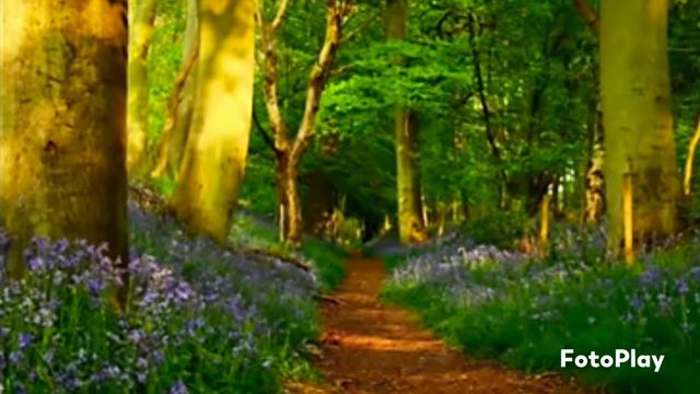 Скоро осень . Александр Серёгин . смотреть онлайн