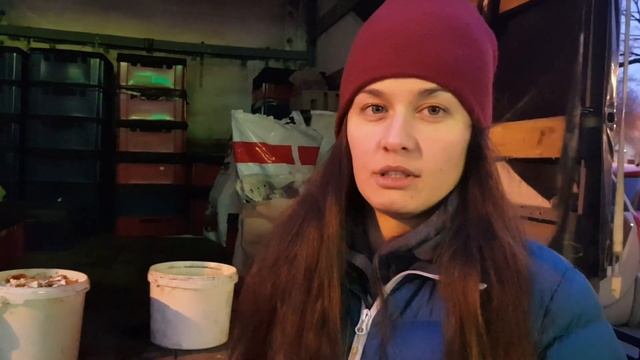 Что делать с пищевыми отходами в СПб? Как я собираю органику? Пункт приема органики в Петербурге. смотреть онлайн