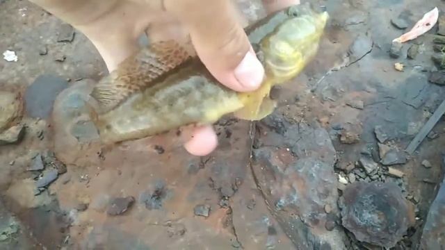 Рыбалка. Смена погоды и результат / рыбалка Крым 2020 смотреть онлайн