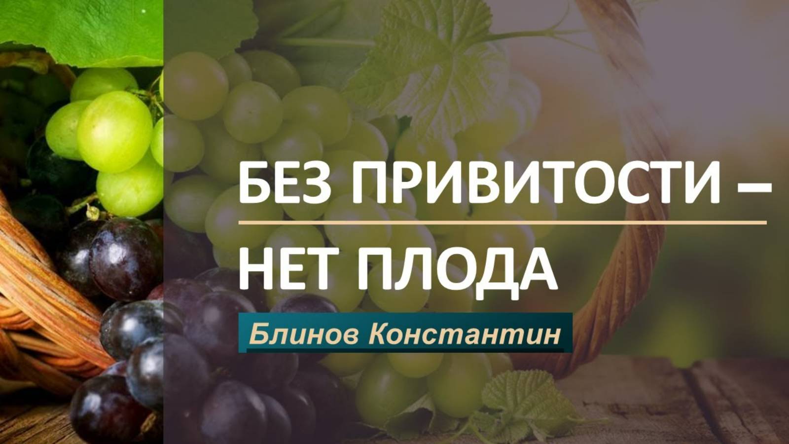 Блинов Константин - Без привитости нет плода смотреть онлайн