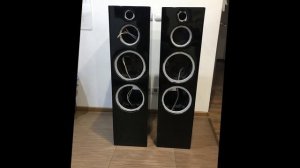 Колонки на динамиках Асалаб 8851