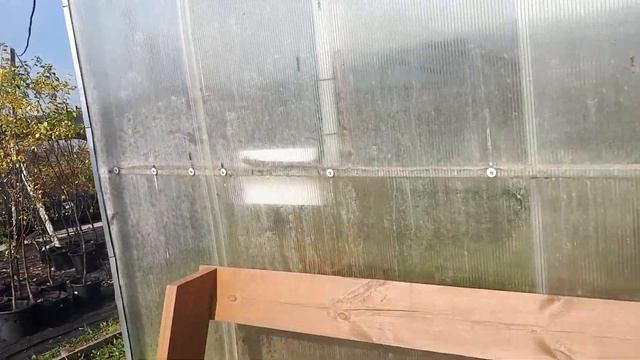 питомник растений на Первомайском смотреть онлайн