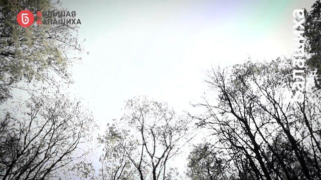 А.С.Пушкин смотреть онлайн