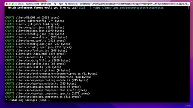 072 Creating the Angular project смотреть онлайн