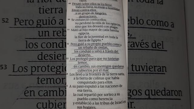 Salmo 78: 49 - 53. NTV 🙏 🔥 🕊 смотреть онлайн