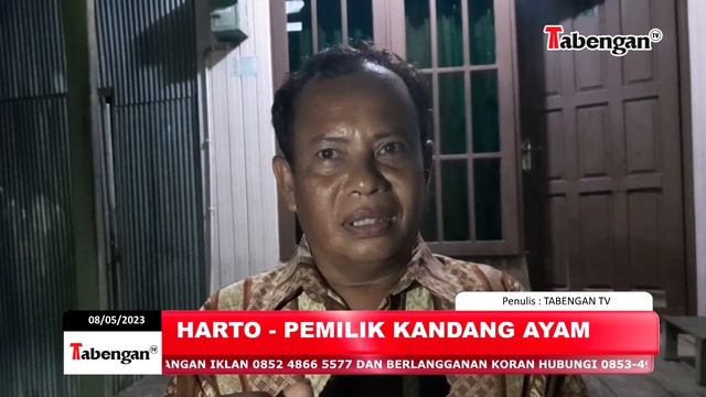 ULAR PITON SEPANJANG 3,5 METER DITANGKAP DI KANDANG AYAM смотреть онлайн