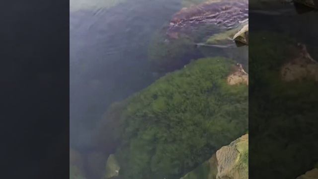 Вода в озере Онтарио смотреть онлайн