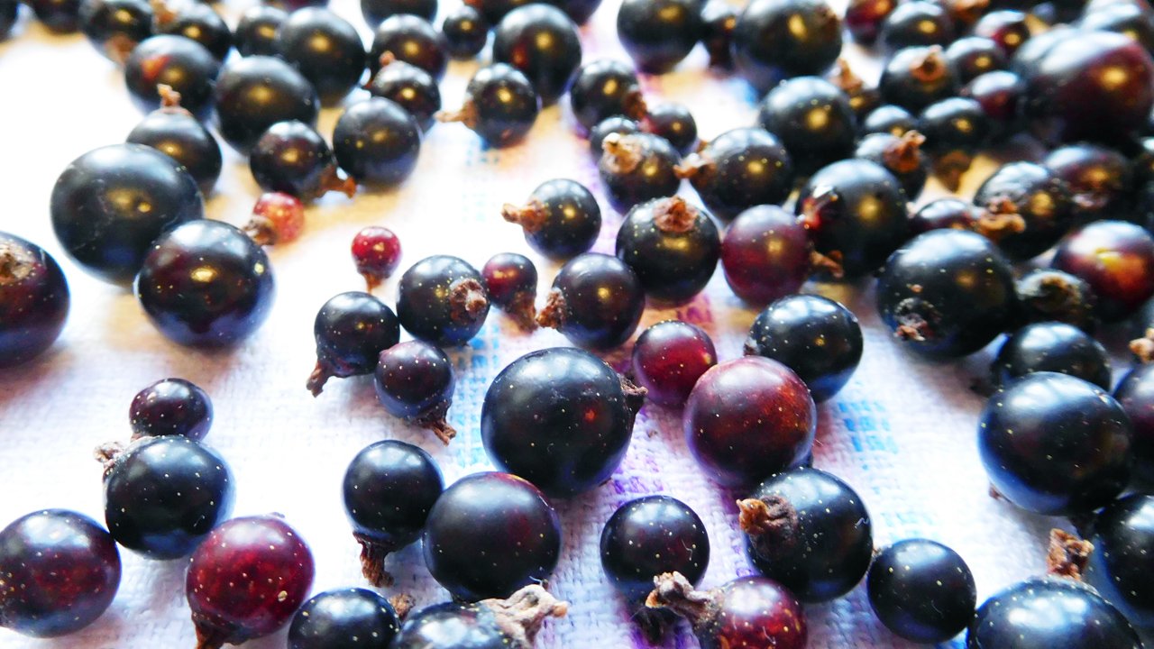 Заморозка черной смородины на зиму смотреть онлайн