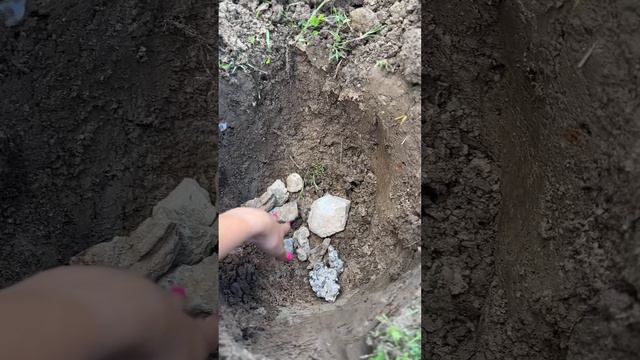 Сажаем вишню смотреть онлайн
