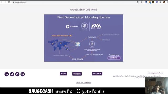 Gaugecash оригинальный обзор проекта смотреть онлайн