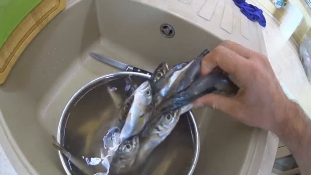 Забавные Пушистики