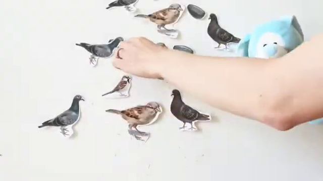 Китайский для мам и детей: глоссарий "кормим птичек". How to feed birds in Chinese. смотреть онлайн