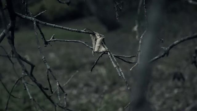 The Mad Butcher of Kingsbury Run смотреть онлайн