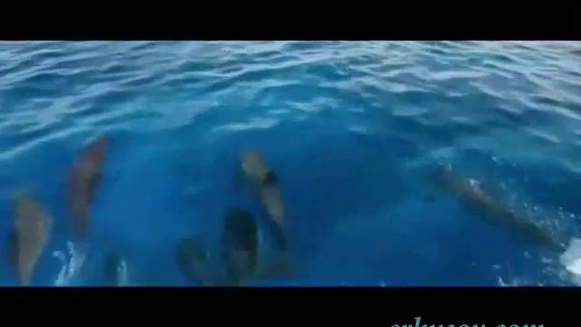 Изумительные кадры природы. Смотри и расслабляйся смотреть онлайн