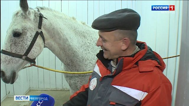 Белгородская конноспортивная школа отпраздновала свое 20-летие смотреть онлайн