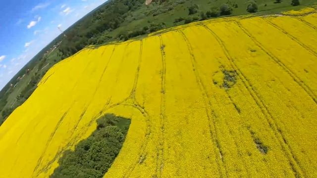 Рапс, Рапс и ещё Рапс. смотреть онлайн