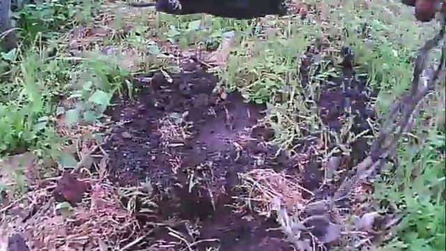 борьба с кротом - крот поймался смотреть онлайн