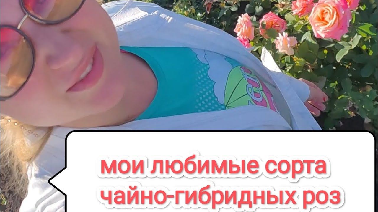 саженцы роз питомника rosebushes.ru с доставкой по России смотреть онлайн