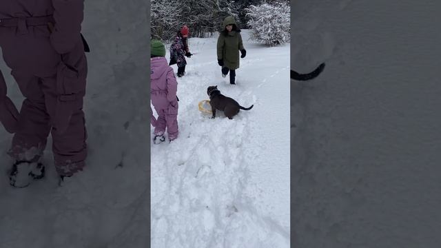 Погода - супер!☀️❄️ Нагулялись, наигрались? Нашли следы «невиданного» зверя? смотреть онлайн
