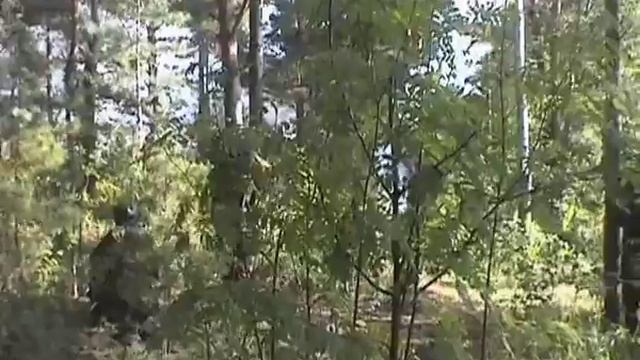 Pirates 4. Пираты 4. Airsoft game смотреть онлайн