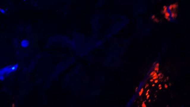 СКАЗОЧНЫЕ ОГОНЬКИ на ЁЛКЕ videoОльгаКореневская смотреть онлайн