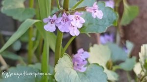 28 апреля Пудов День. Что нельзя делать 28 апреля. Народные традиции и приметы.