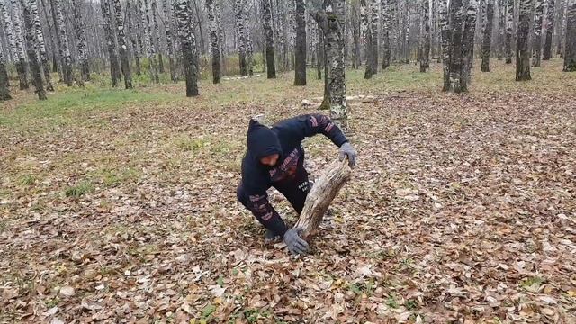 Боковые отжимания на пеньке смотреть онлайн