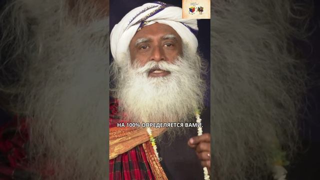 Ваша реакция — главная причина ваших страданий смотреть онлайн