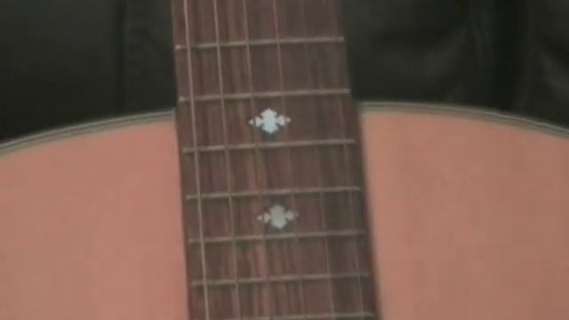 Washburn Acoustic смотреть онлайн