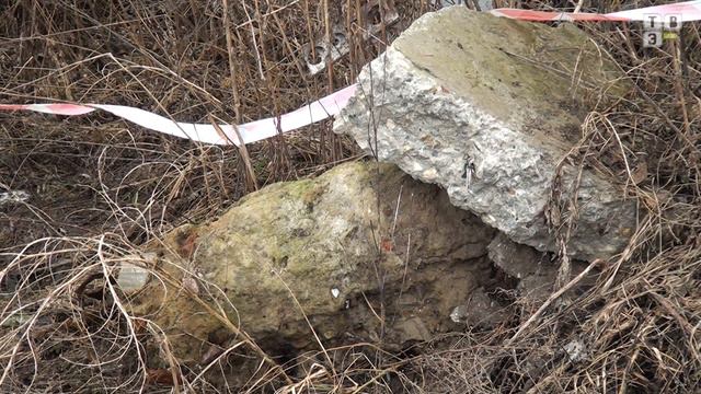 ТВЭл - Глава города и многодетные семьи осмотрели выделенные участки (21.03.17) смотреть онлайн