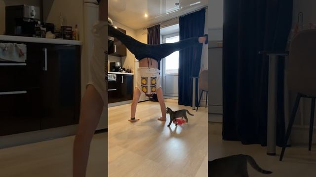 Sleepy kitty and my glasses смотреть онлайн