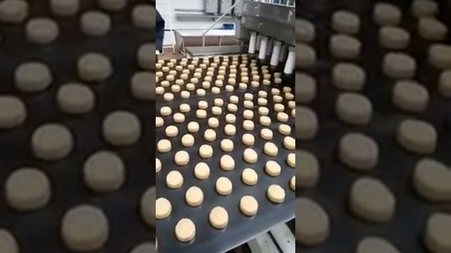 Струнная резка на экструдере Intellestamp - производство сырцового пряника и печенья смотреть онлайн